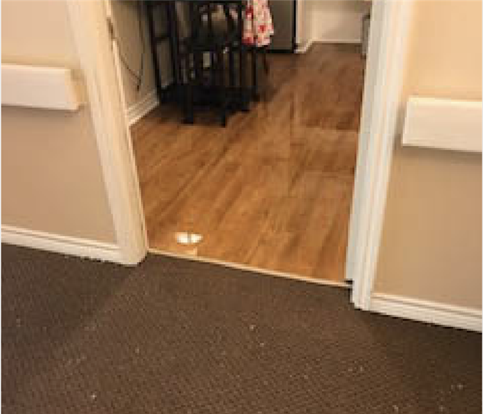 Standing water on carpet and laminate flooring.